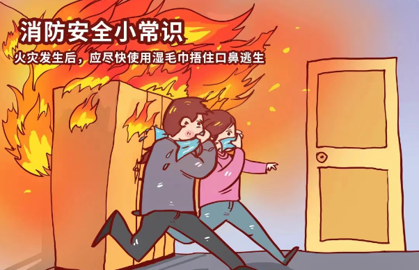 微信圖片_2025-11-19_100816_344